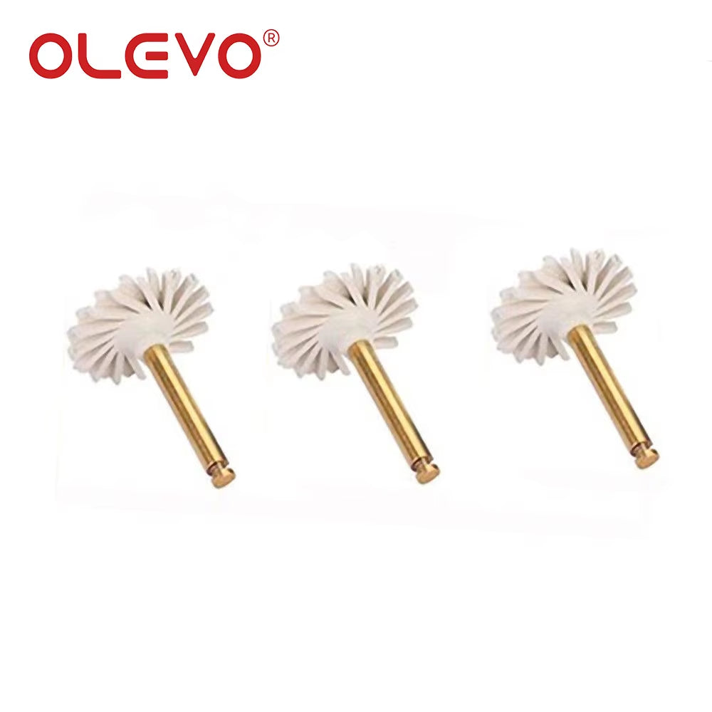 3/6 Pcs Dental Rubber Diamond Polisher Composite Resin Polishing Disc Wheel Kit Brush Burs High Gloss Polishing RA 2.35Mm
